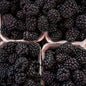 Sirop de mûres